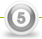 Paso 5